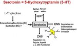serotonin.jpg