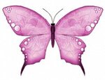 papillon rose-lvie.jpg