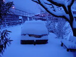 winter 2009 001.jpg