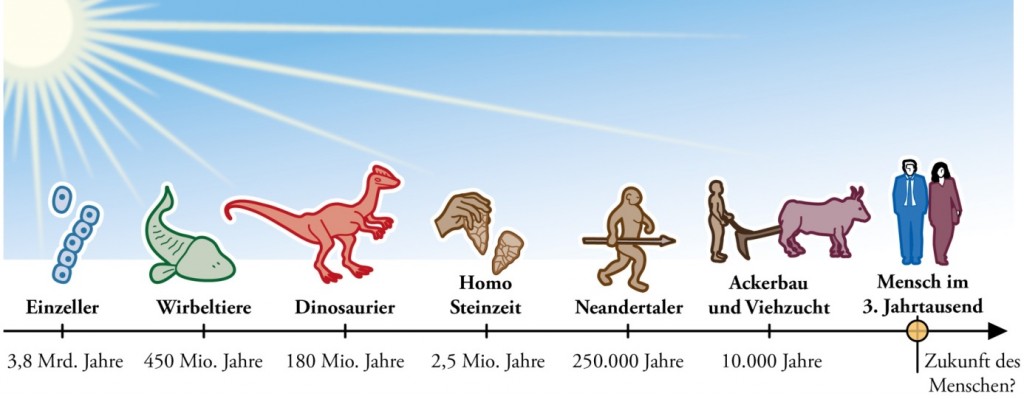 Sonne Evolution