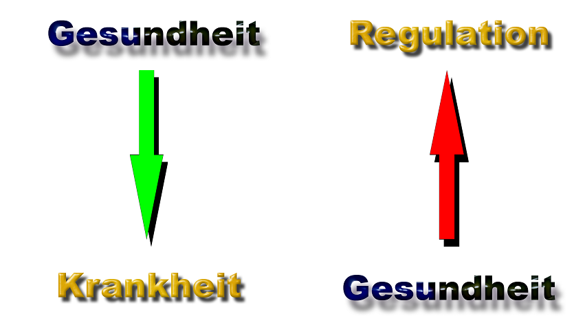 Regulation zur Gesundheit