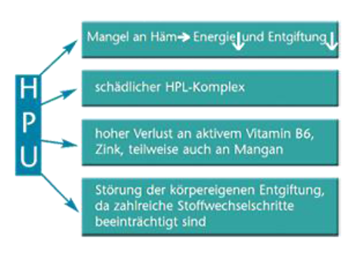 körpereigene Entgiftung