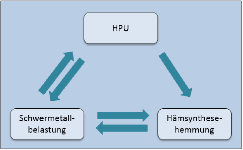 Schwermetalle und HPU