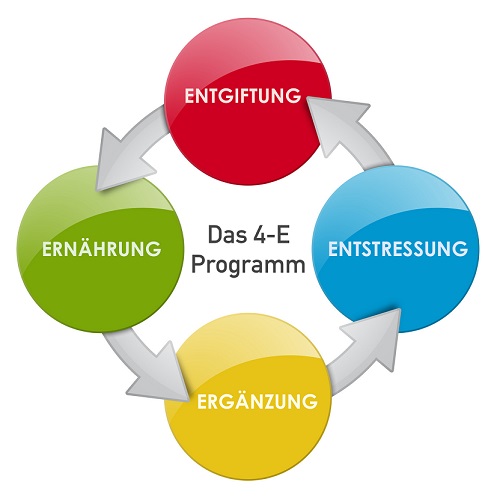 4E-Programm