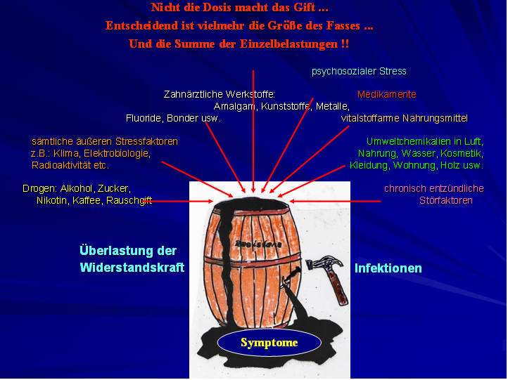 Immunologisch relevante Belastungen aus zahnärztlichen Werkstoffen und deren Wirkungen 3 Belastungen