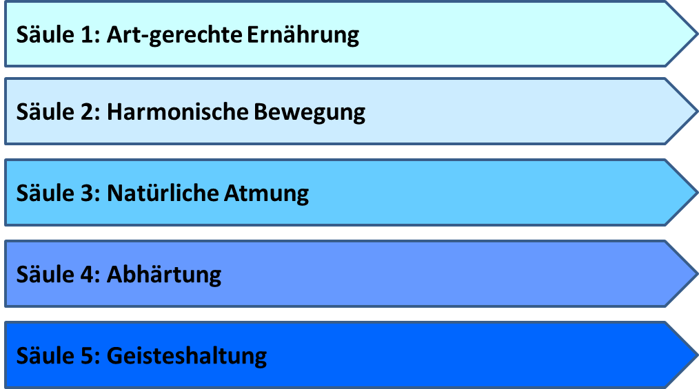 Das Lebenswerk von Dr. Galina Schatalova: Teil 1 - Überblick 3 Abbildung 3: Schatalova’s 5 Säulen wahrer und nachhaltiger Gesundheit