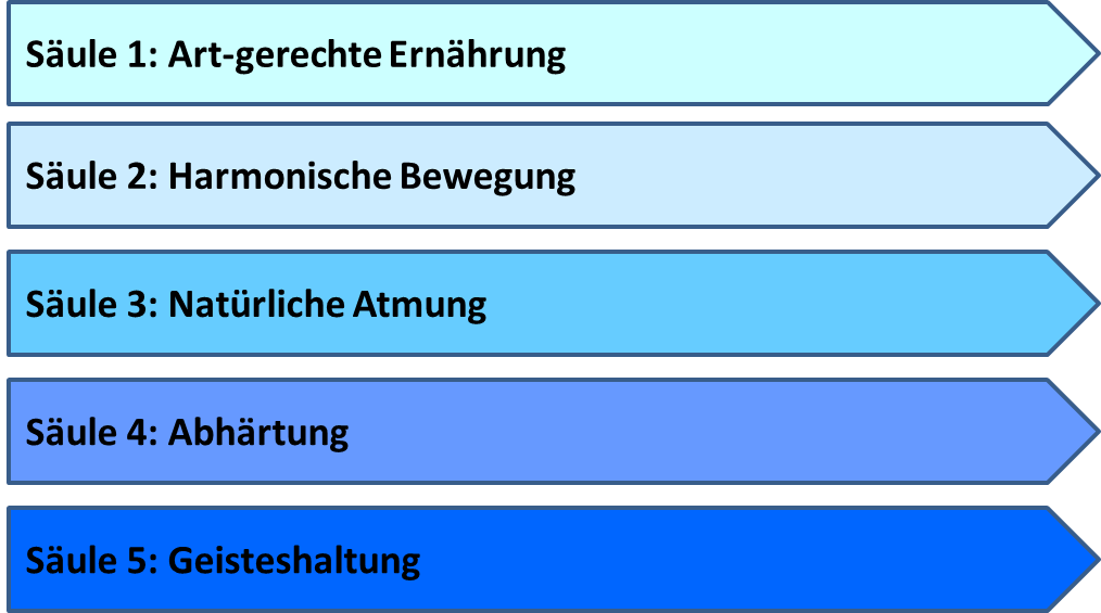 Abbildung 3: Schatalova’s 5 Säulen wahrer und nachhaltiger Gesundheit