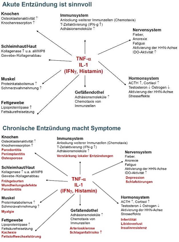 Entzündung