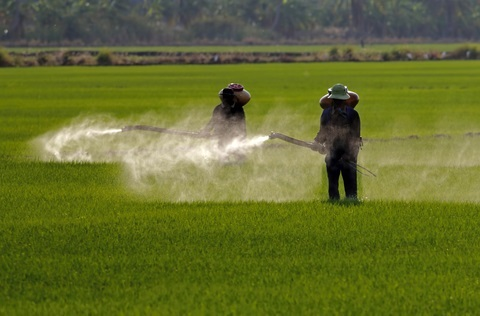 Glyphosat unschädlich? Ja! Aber ... 1 symptome wasser lebensmittel kosmetik gefaehrlich pestizide im essen