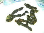 BILD0273.JPG