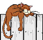 img1.gif