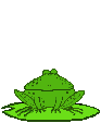 frogy8.gif
