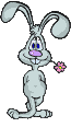 bunny.gif