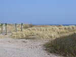 fehmarn 27.3.2008 008.jpg