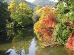 herbst.jpg
