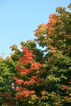 2008_09_26_15_16_29_1804.jpg