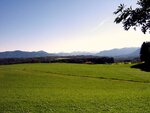 IMG_0120-2.jpg