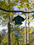 IMG_5891.jpgKopie.jpg