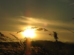 Holland 2007 3z.jpg