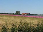 Holland-2007-1.jpg