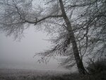 IMG_1683-1.jpg