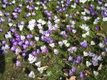 20091703lux 015-1.jpg