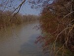 IMG_0201.jpg