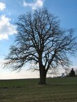 IMG_2145.jpg