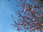 20.03.11 051.jpg