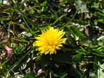 20.03.11 068.jpg
