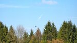 IMG_2134.jpg
