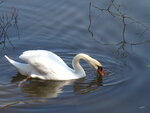 März 011 158.JPG