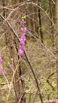IMG_2188.jpg