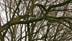 IMG_2173.jpg