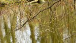 IMG_2204.jpg