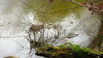 IMG_2208.jpg