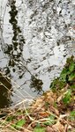 IMG_2212.jpg