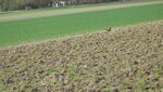 IMG_2276.jpg