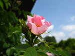 letzter Apriltag '11 042.JPG