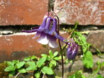 letzter Apriltag '11 104.JPG