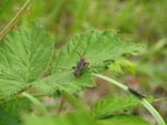 letzter Apriltag '11 067.JPG