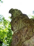 IMG_2538.jpg