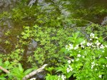 IMG_2586.jpg