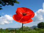 Mai11 002.JPG