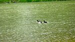 IMG_2612.jpg
