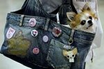 h tasche.jpg