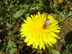 DSC00715.JPG