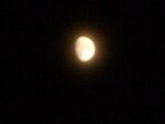 mond3.jpg