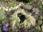 katze-im-gras.jpg