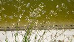 IMG_2676.jpg